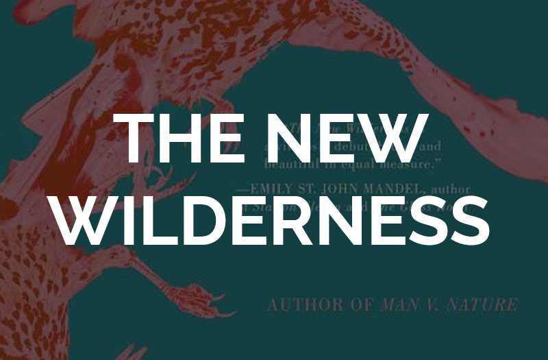 diane cook the new wilderness review