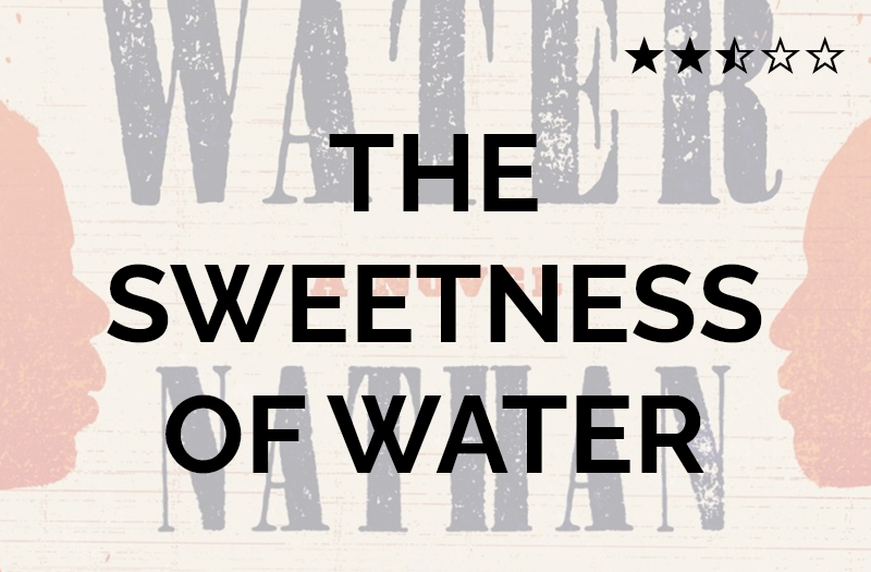 the sweetness of water novel