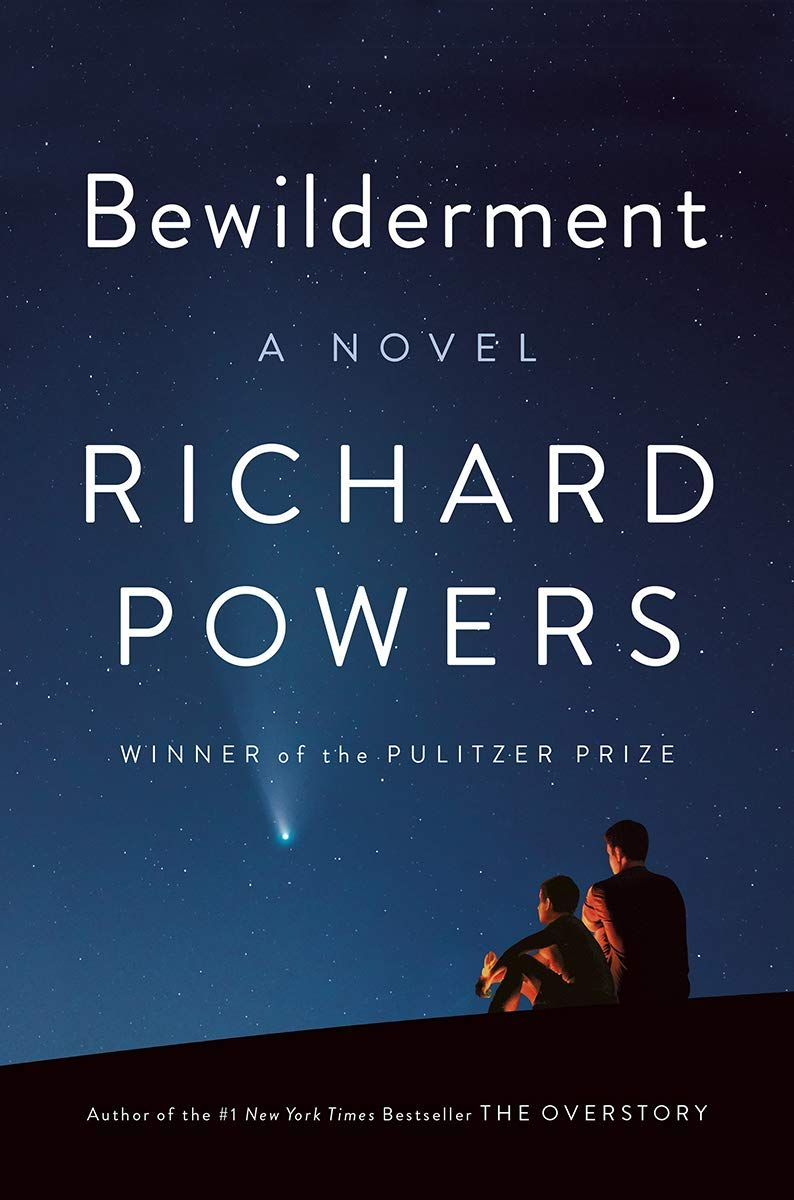 Bewilderment Bewilderment